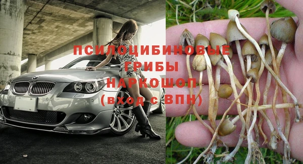 эйфоретик Алексеевка