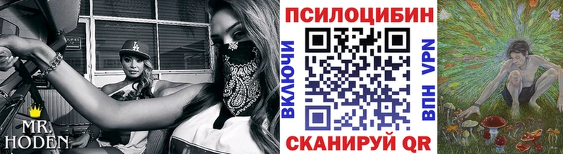 где найти наркотики Электрогорск Галлюциногенные грибы мицелий